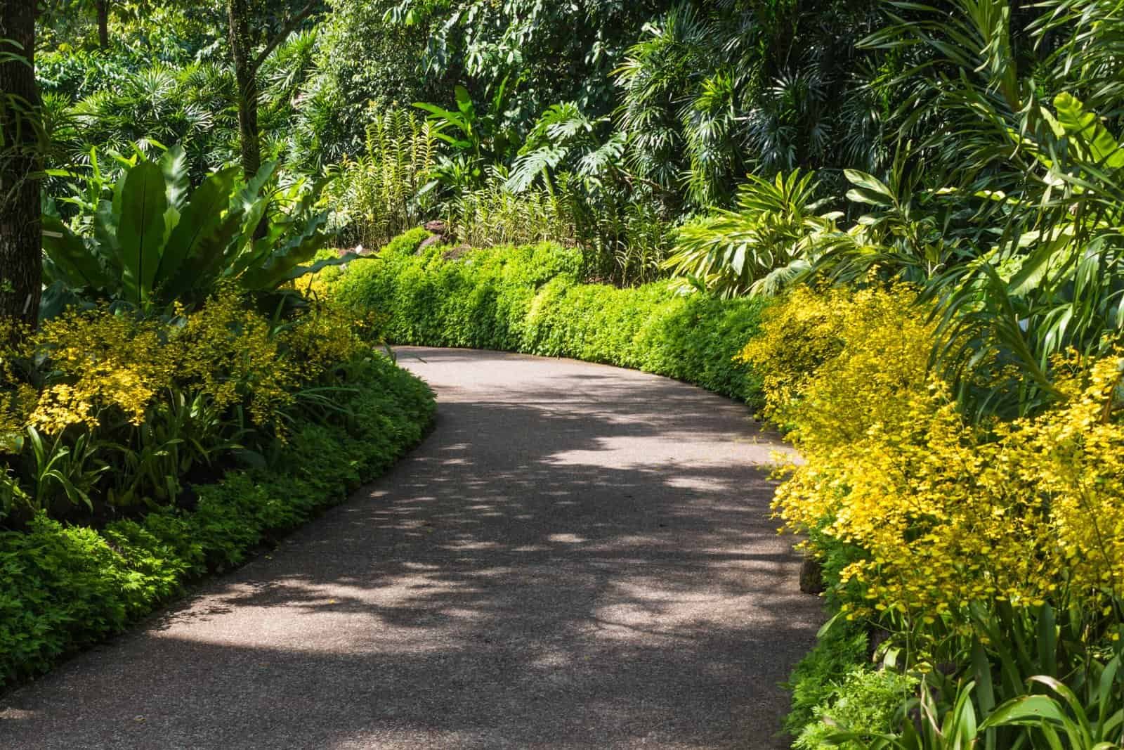 Beautiful garden pathway surrounded by lush greenery and vibrant plants.