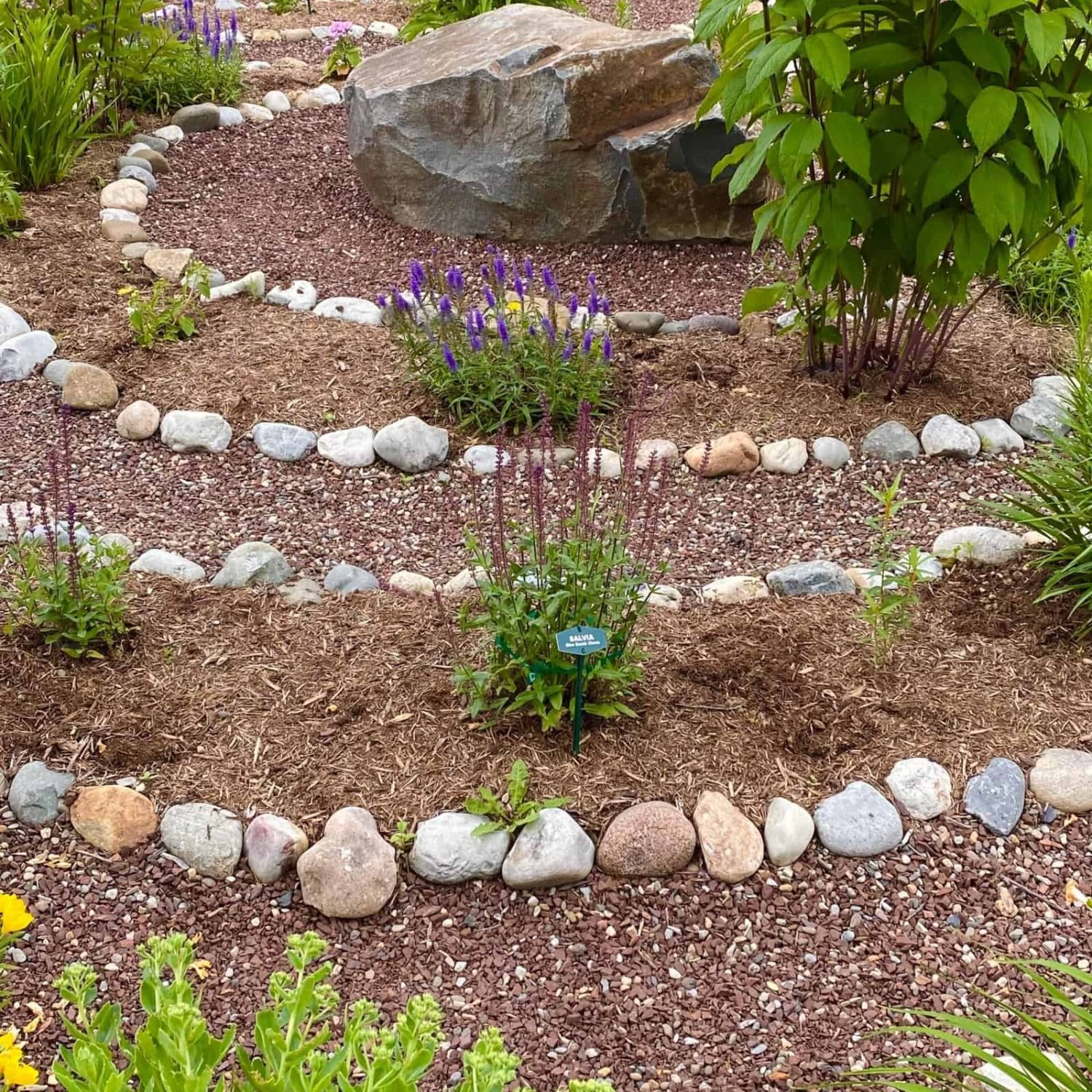 Garden landscape with rocks, plants, and flowers for aesthetic appeal.