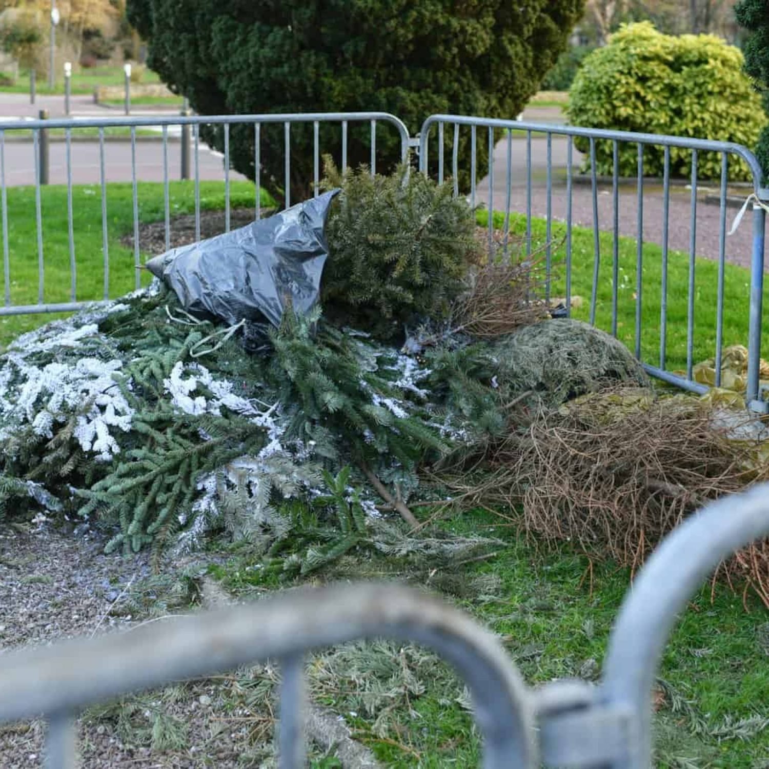 Tree debris and branches behind metal barricades in a park setting.